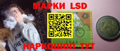 шишки Камышлов