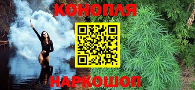 шишки Камышлов