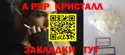 шишки Камышлов