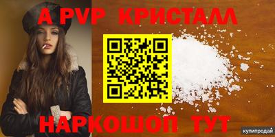 шишки Камышлов