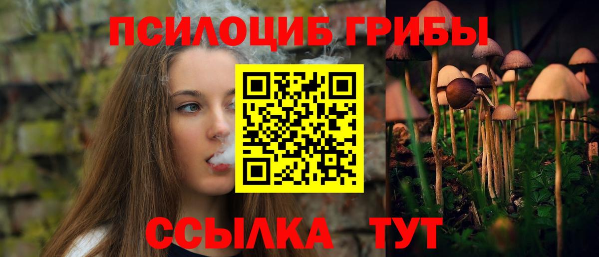 Люберцы  Галлюциногенные грибы Psilocybine cubensis  Вход с VPN  Псилоцибиновые грибы мицелий 