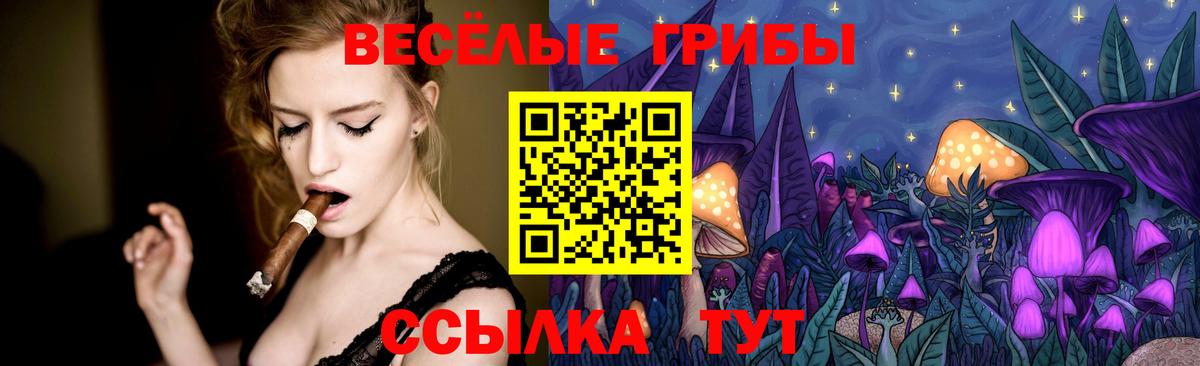 Галлюциногенные грибы Psilocybine cubensis Люберцы